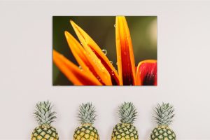 picture printed on acrylic glass